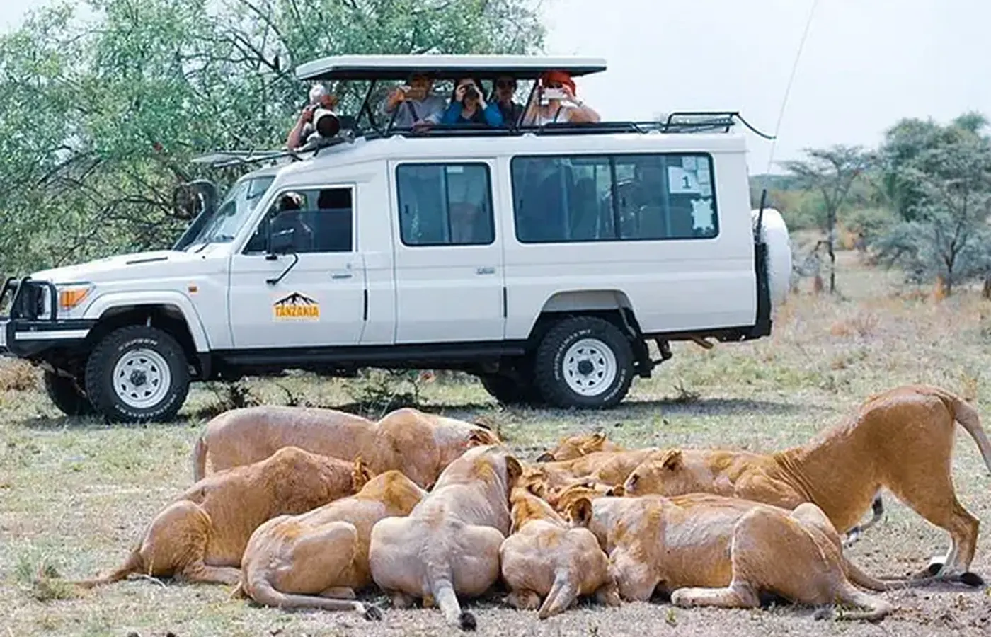 5-Day Classic Luxury Lodge Northern Circuit Safari with Flexible Start image 1