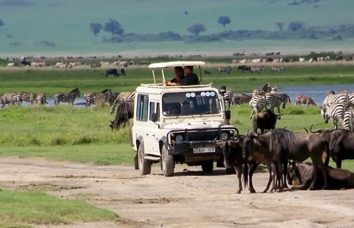 3-Day Discover Fly-In Rwanda Gorilla Trekking and Akagera Safari From Moshi image 1
