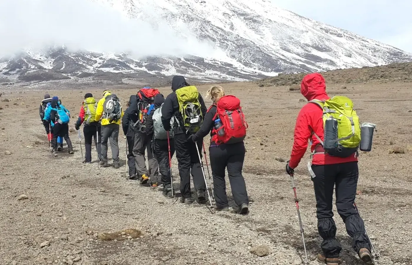 6-Day Signature Great Migration Kilimanjaro Rongai Route Climb From Zanzibar image 1