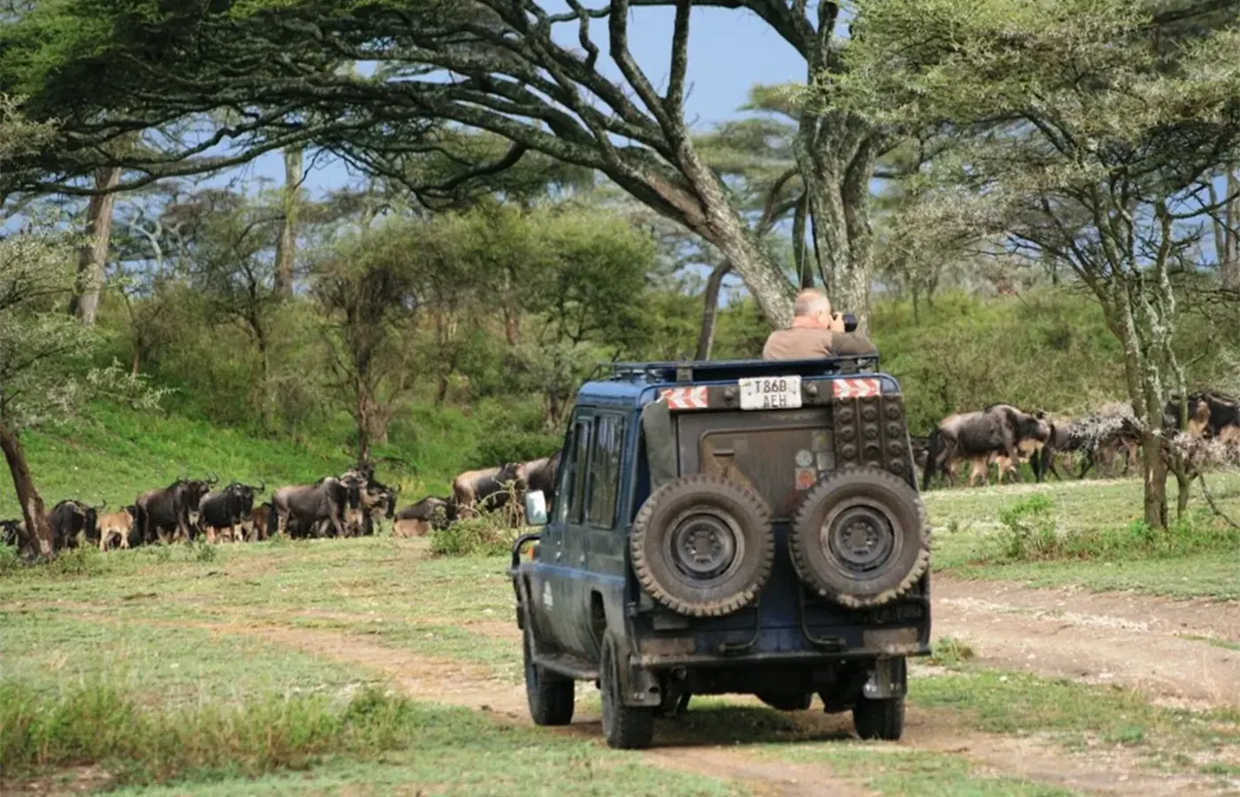6-Day Ultimate Budget Friendly Serengeti Wildebeest Migration Safari From Moshi image 1