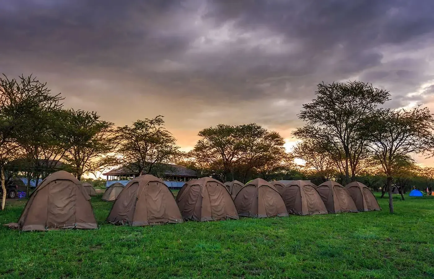 10-Day Classic Great Migration Kilimanjaro Safari and Zanzibar Grand Combo From Nairobi image 1