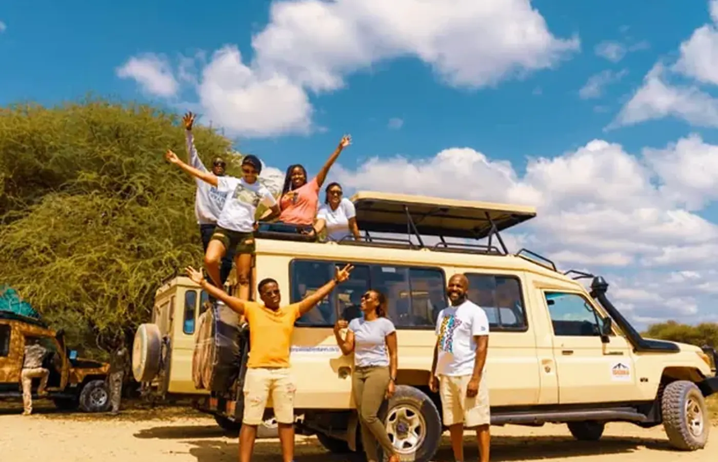 1-Day Complete Great Migration Best Day Trips from Moshi and Arusha From Dar Es Salaam image 1